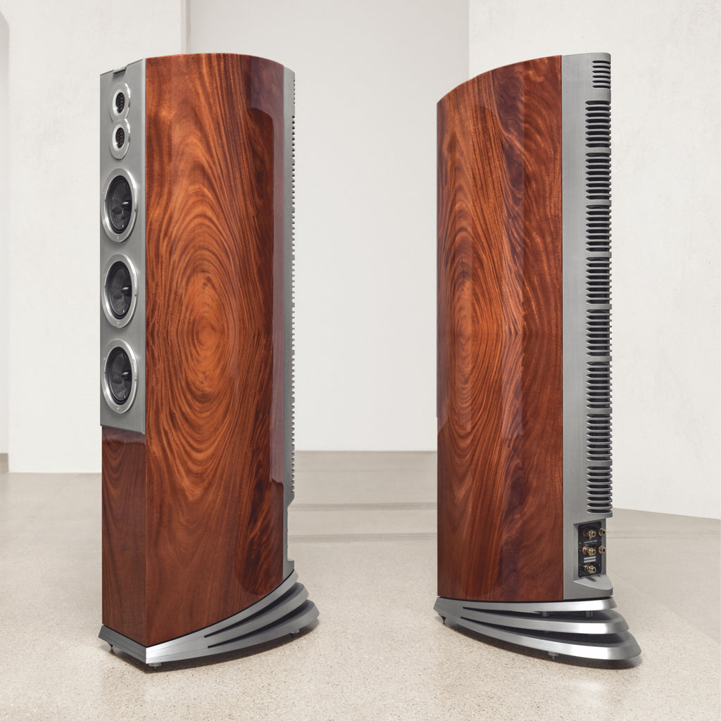 AUDIOVECTOR R10 ARRETÉ
