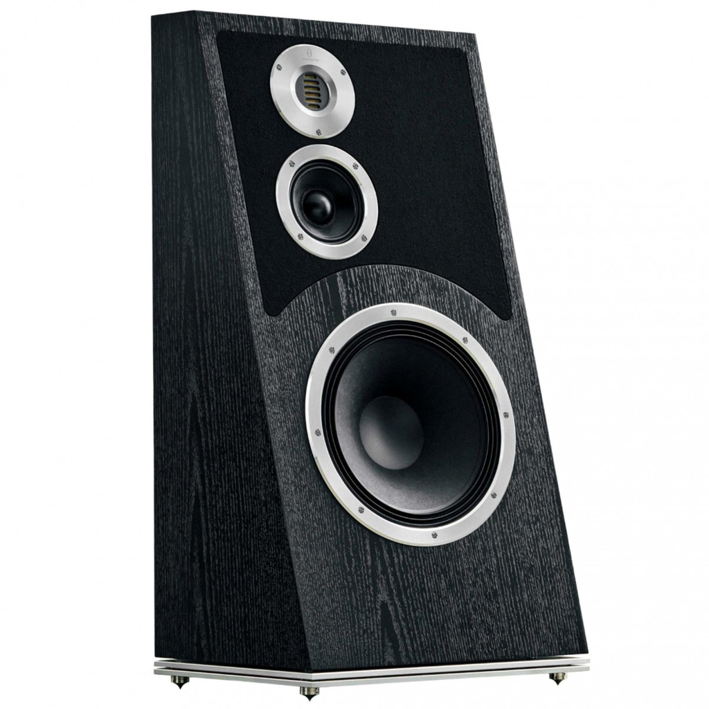 AUDIOVECTOR TRAPEZE