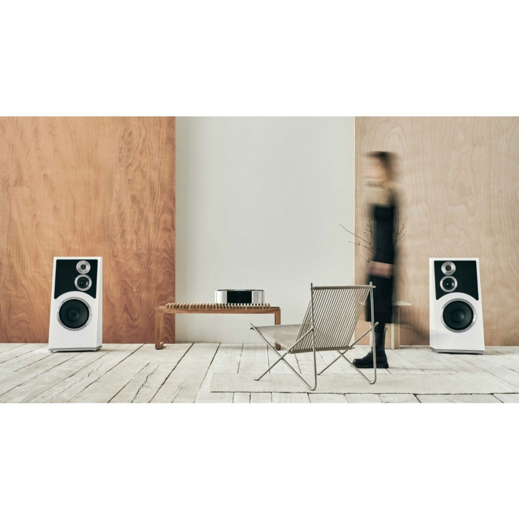 AUDIOVECTOR TRAPEZE