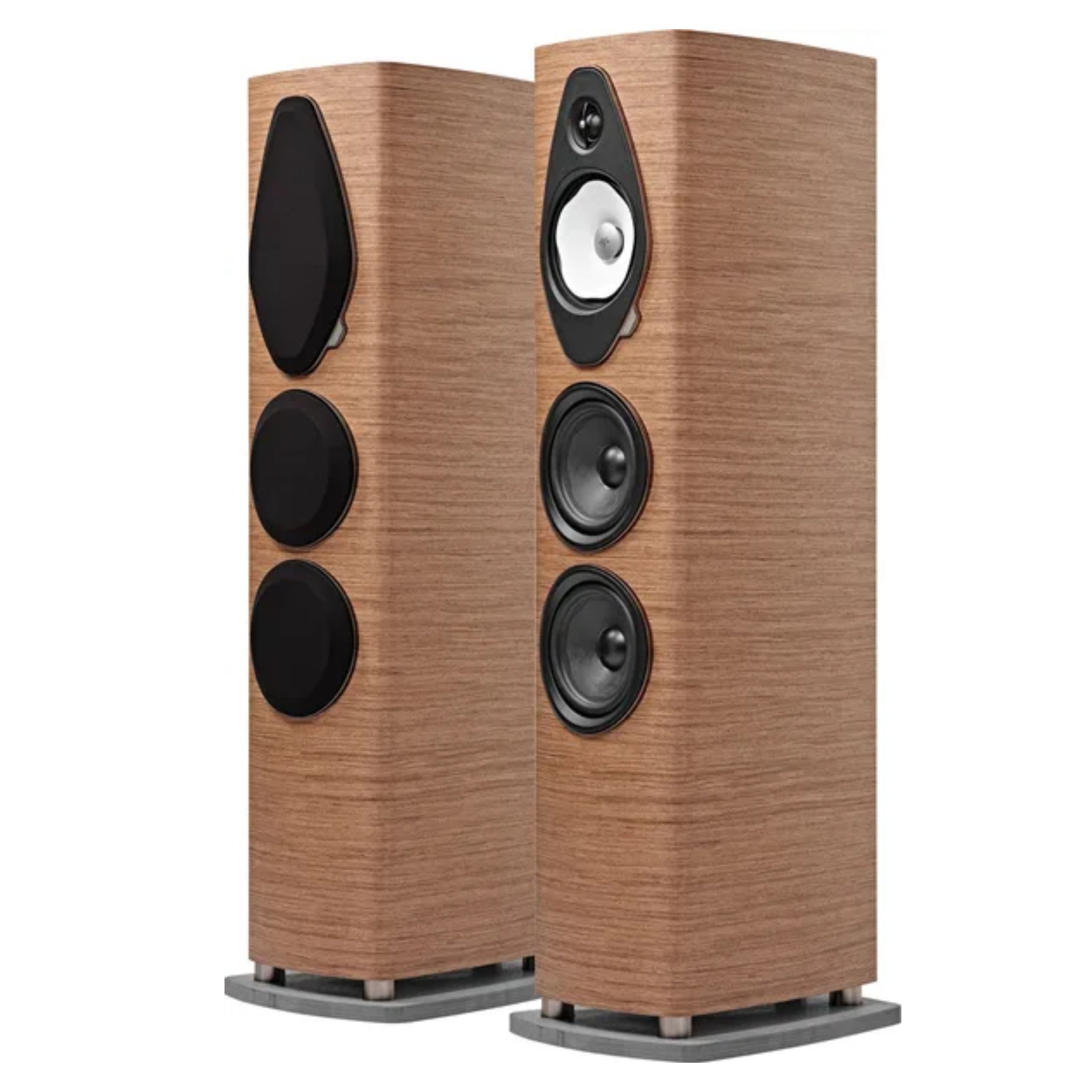 SONUS FABER SONETTO V G2