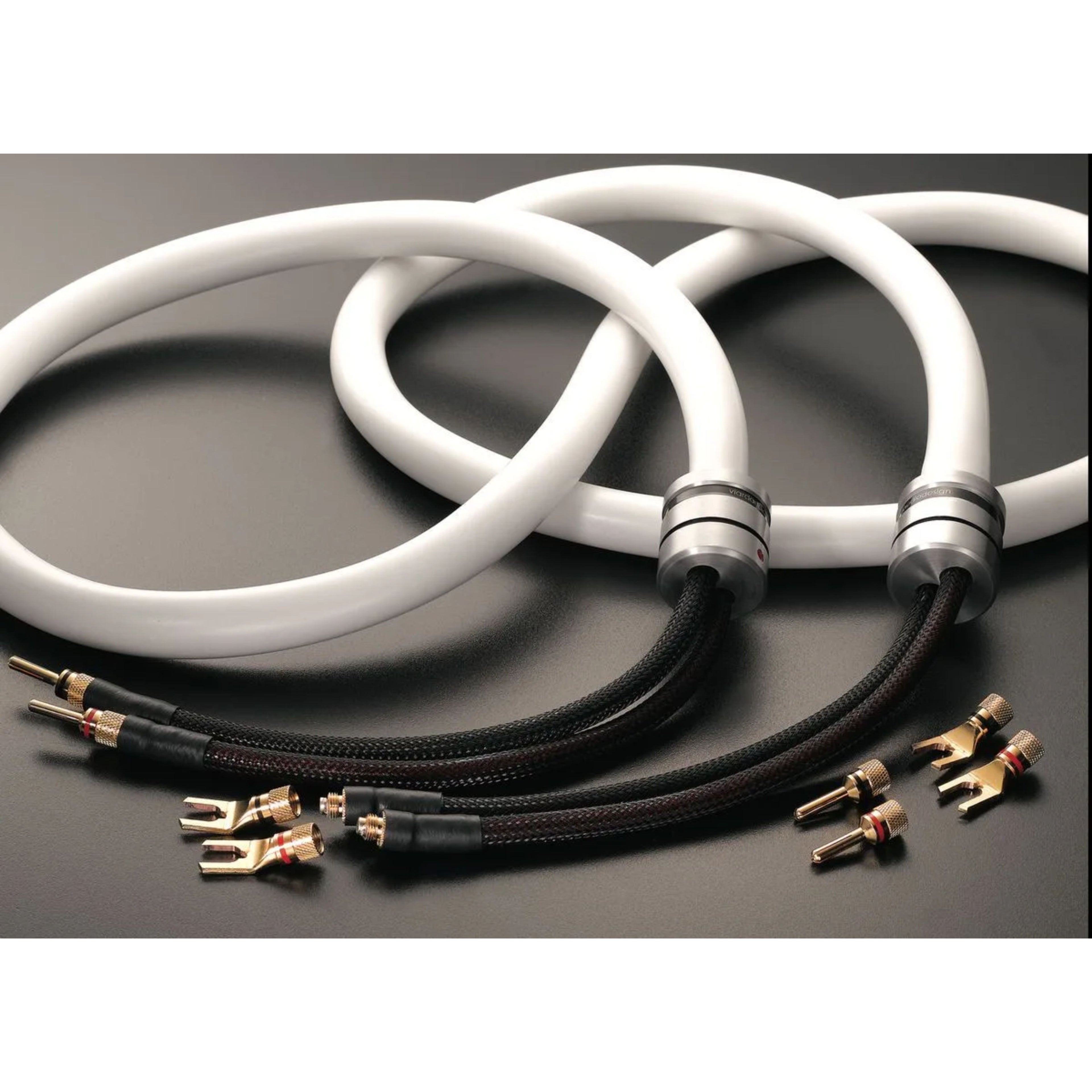 VIARD AUDIO SILVER HD20
