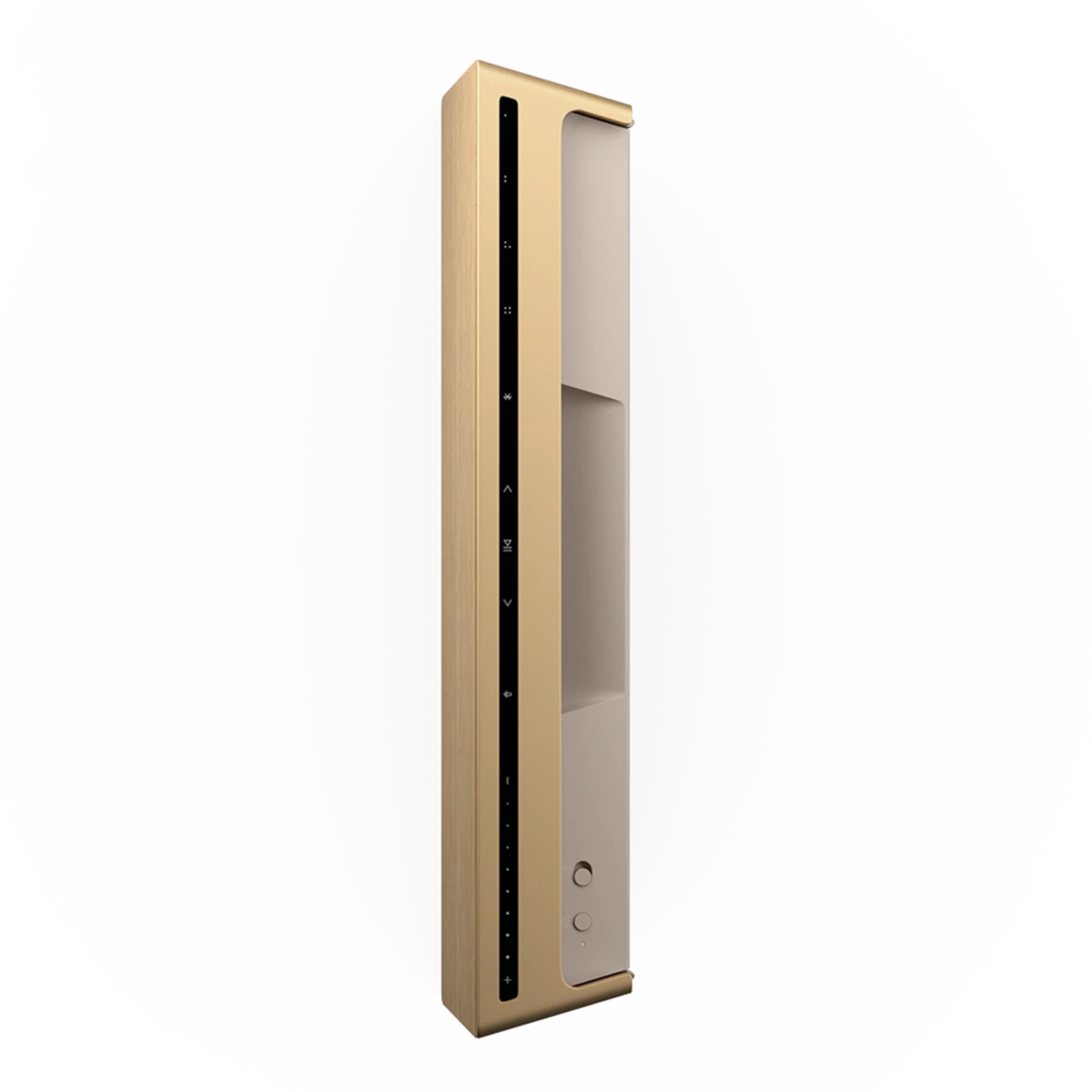 BANG AND OLUFSEN LEVEL FINITION GOLD TONE LIGHT OAK (Programme Dream Access)