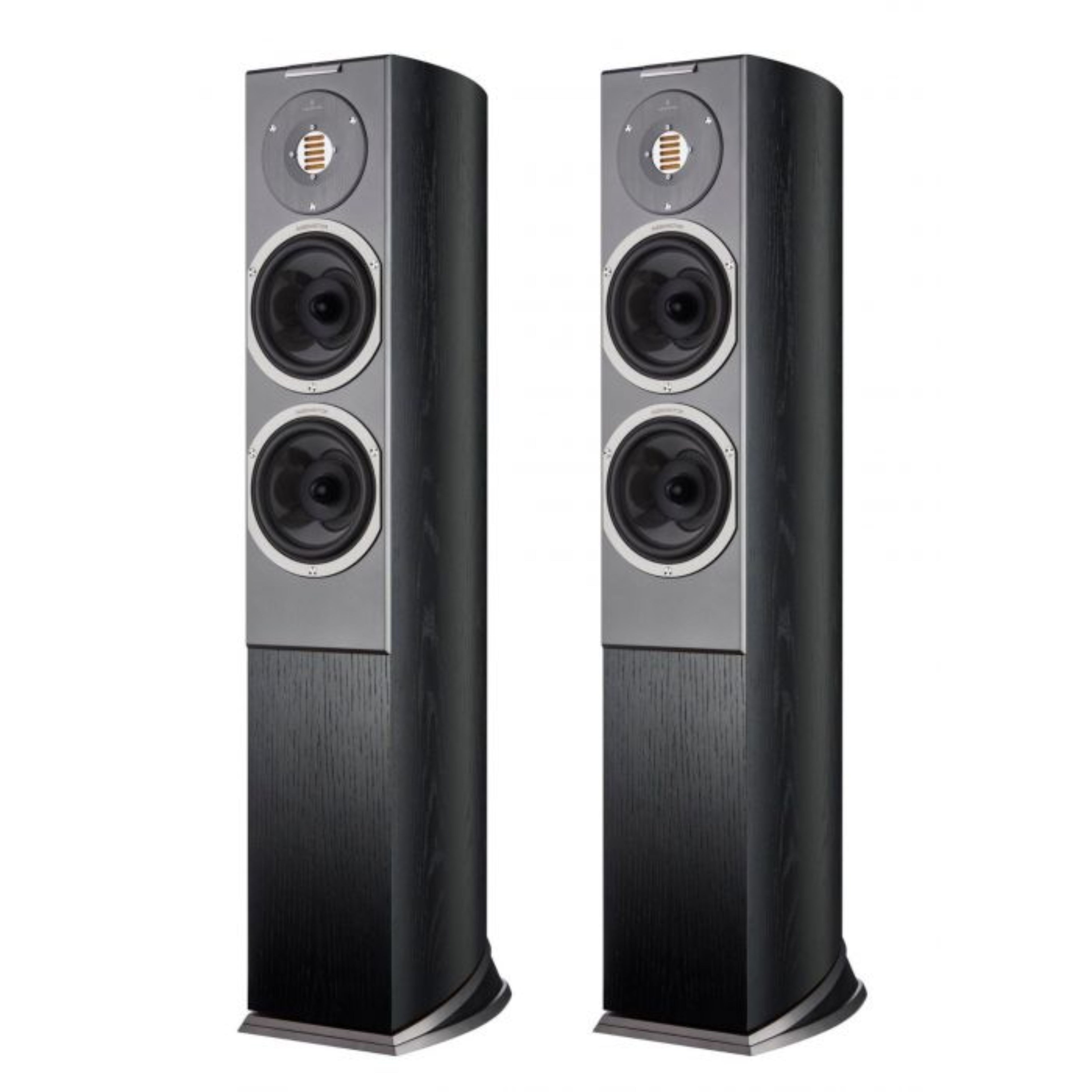 AUDIOVECTOR R3 AVANTGARDE (la paire)