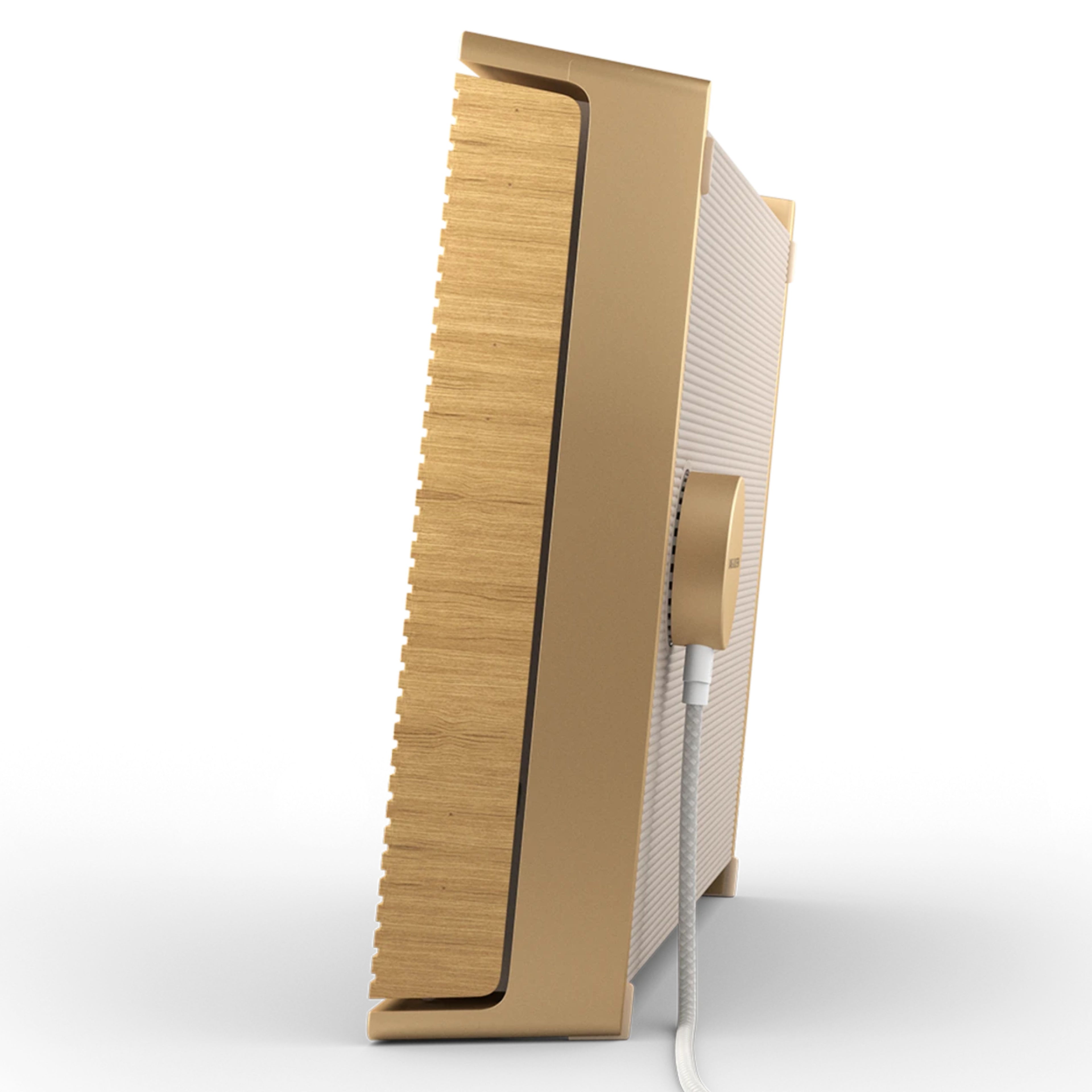 BANG AND OLUFSEN LEVEL FINITION GOLD TONE LIGHT OAK (Programme Dream Access)