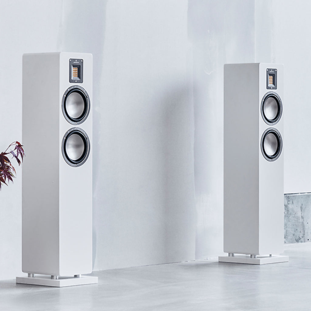 AUDIOVECTOR QR3SE (la paire)