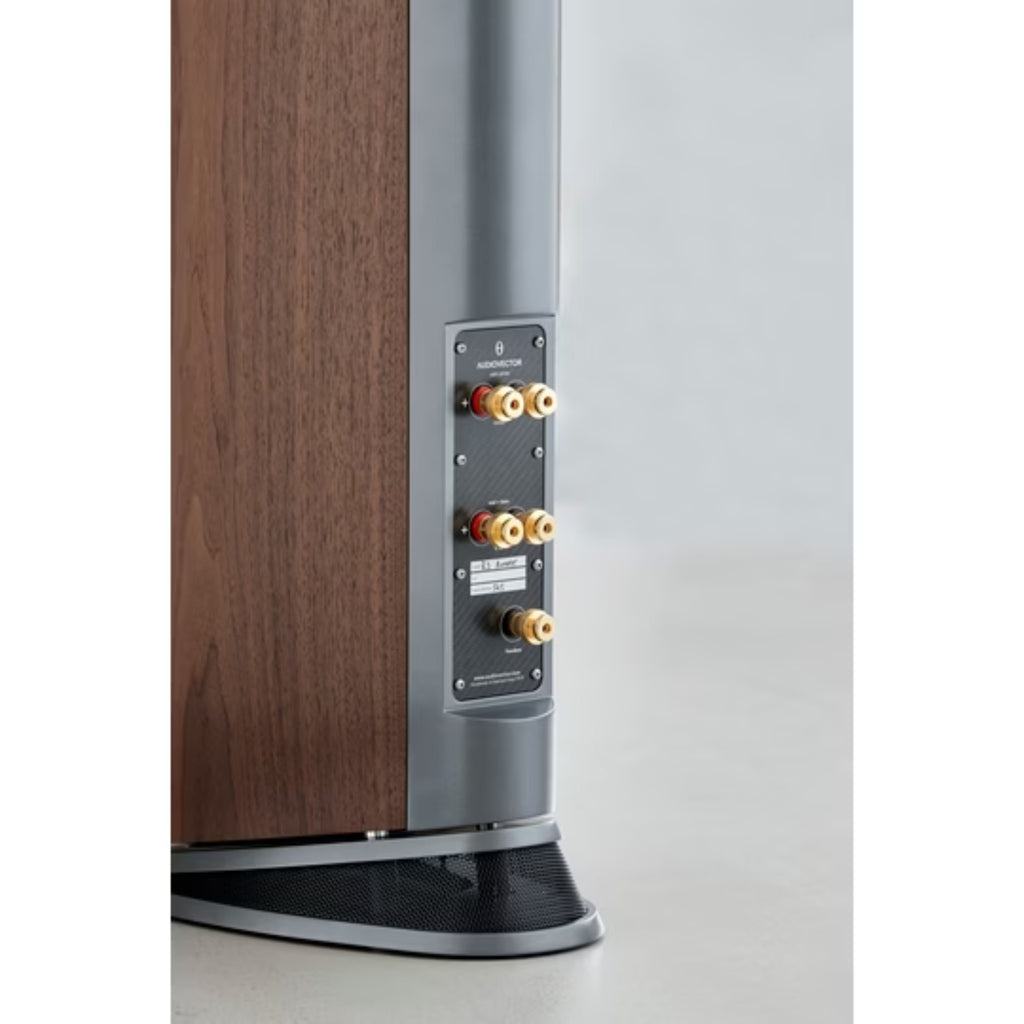 AUDIOVECTOR R3 SIGNATURE (la paire)