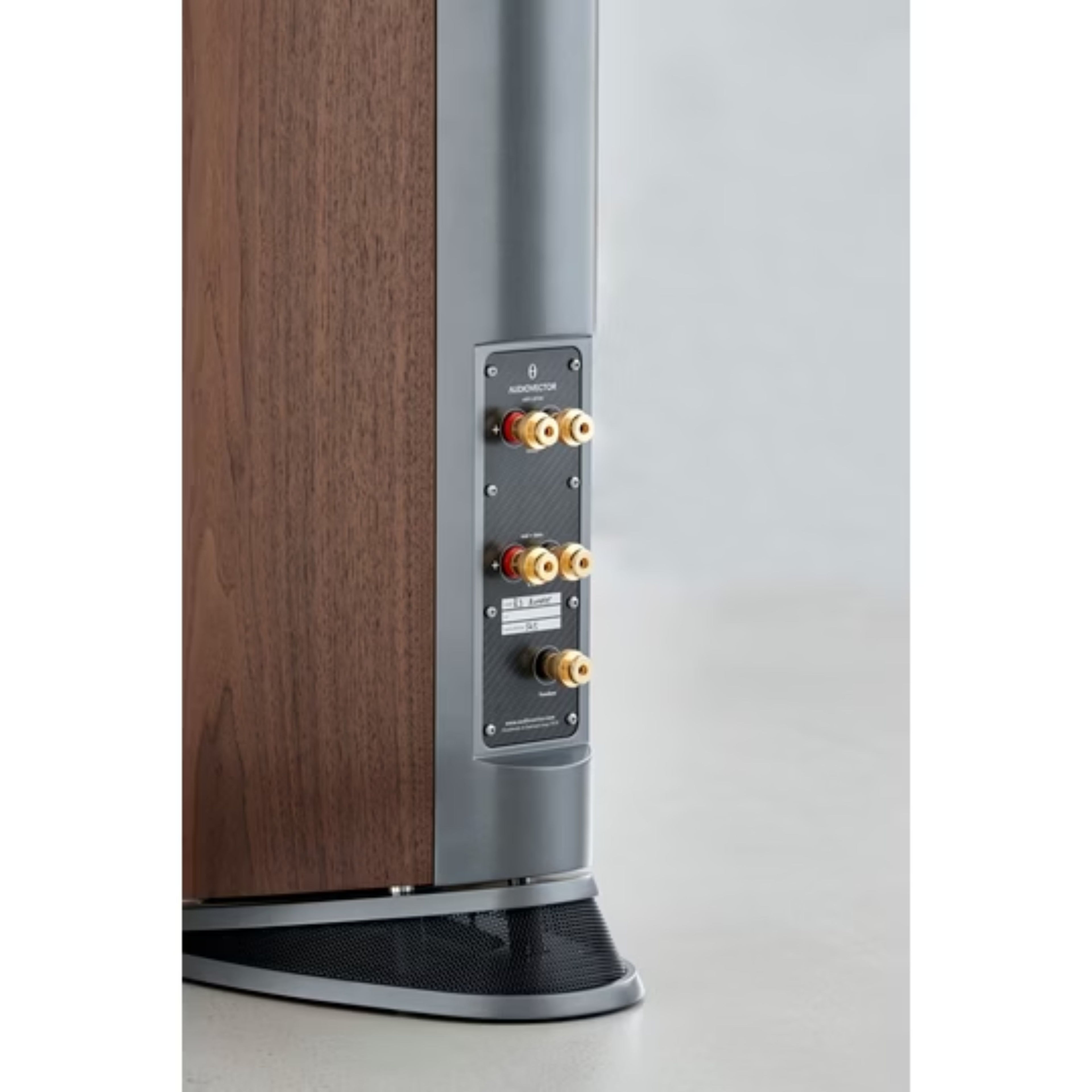 AUDIOVECTOR R3 SIGNATURE (la paire)