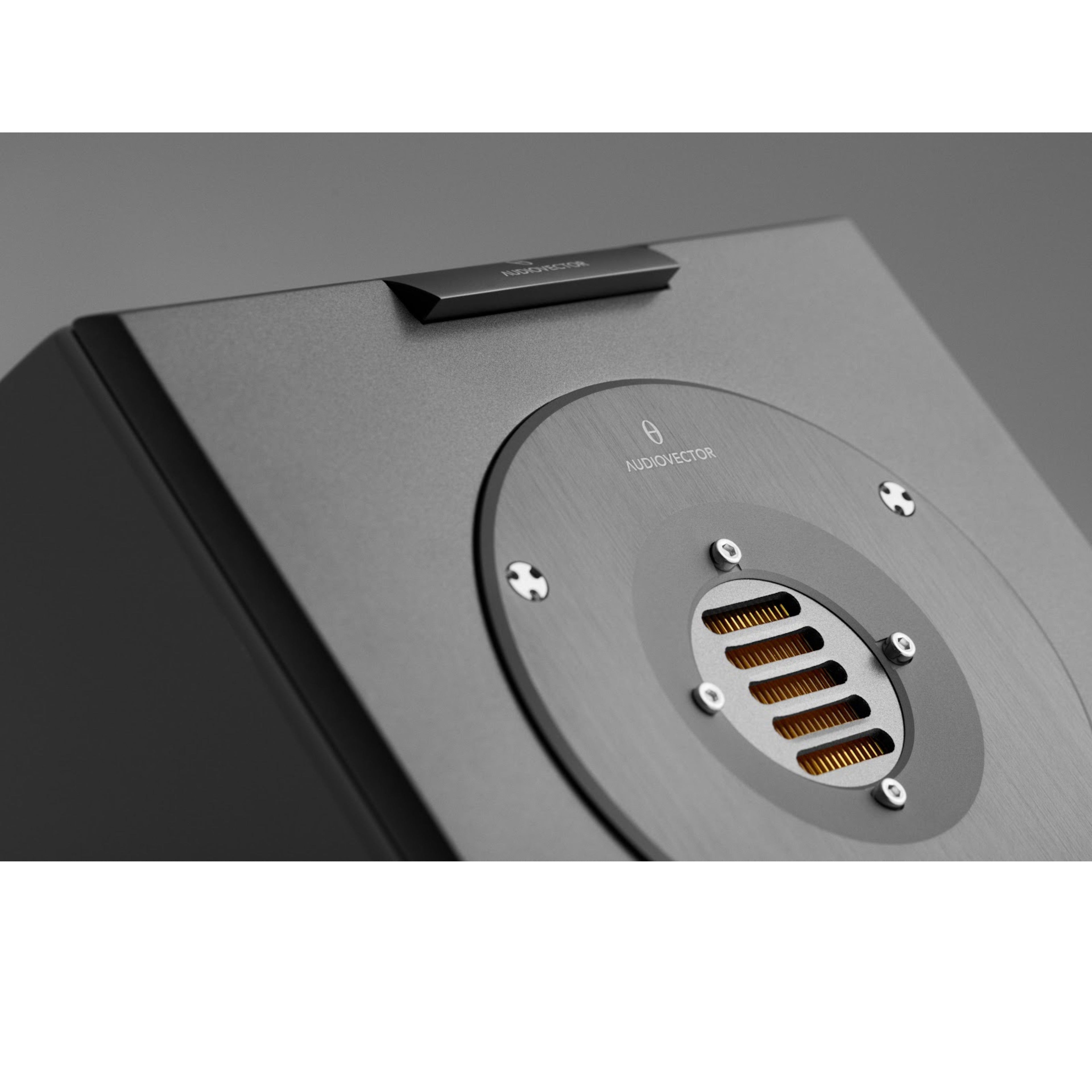 AUDIOVECTOR R6 AVANTGARDE (la paire)