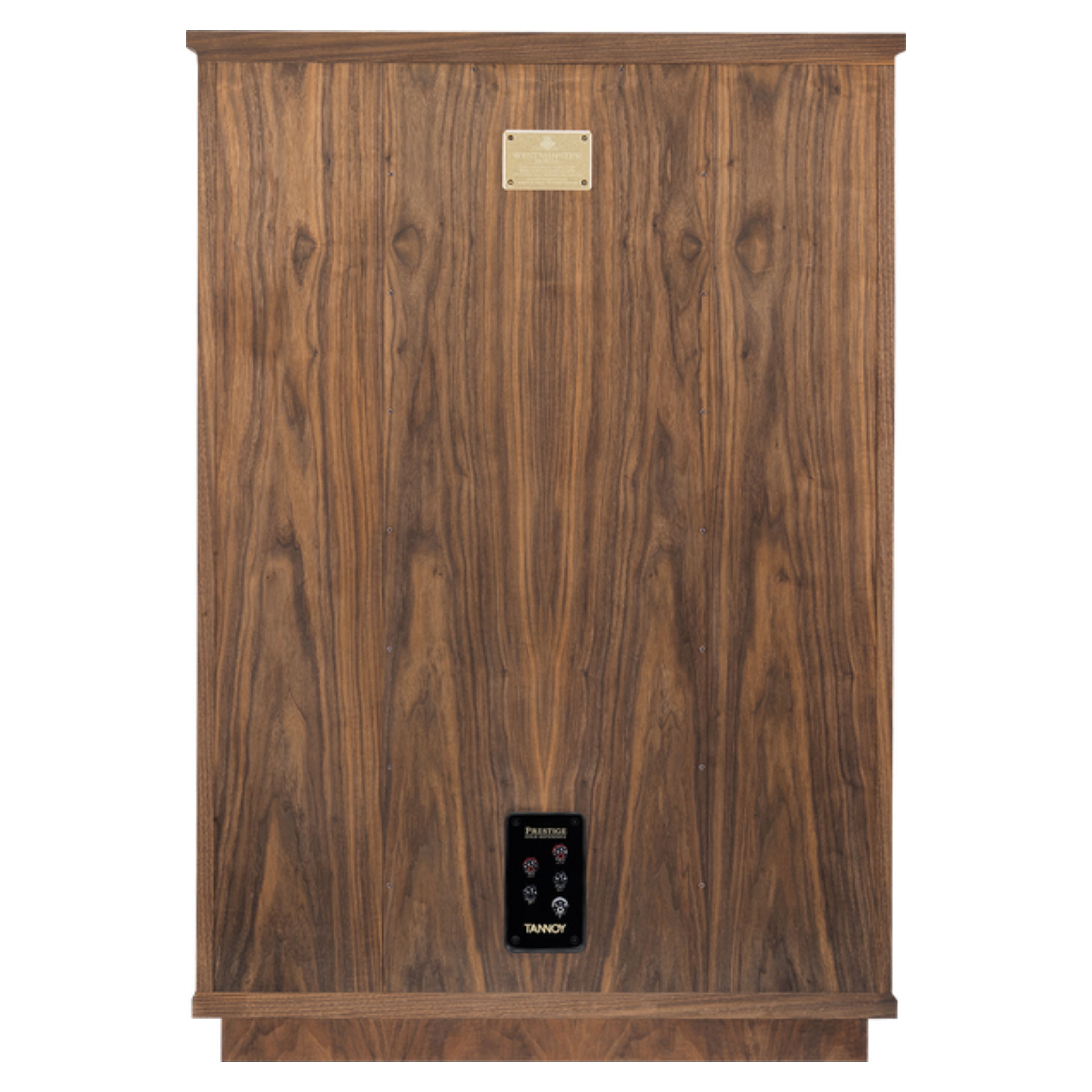 TANNOY WESTMINSTER GR