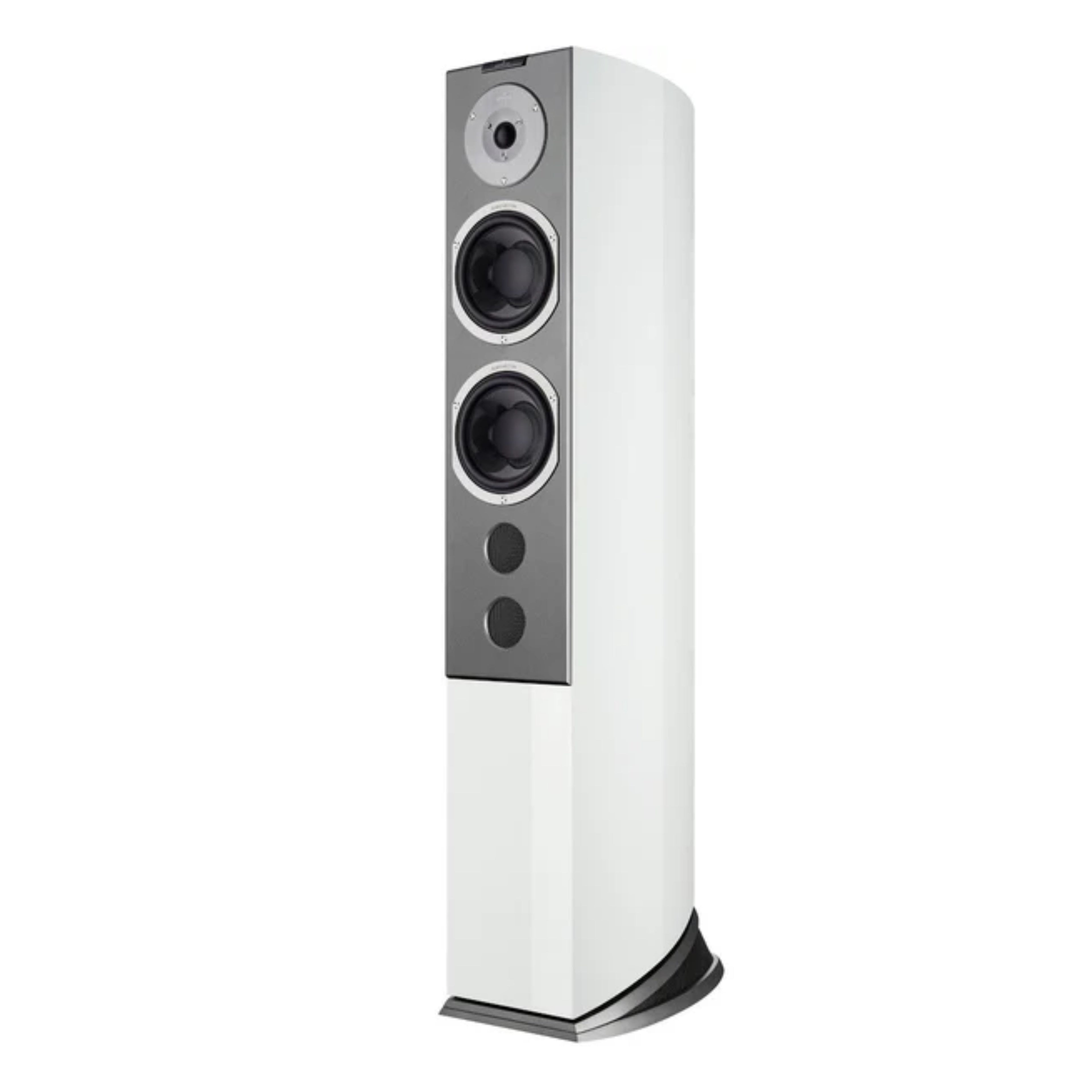 AUDIOVECTOR R6 SIGNATURE (la paire)