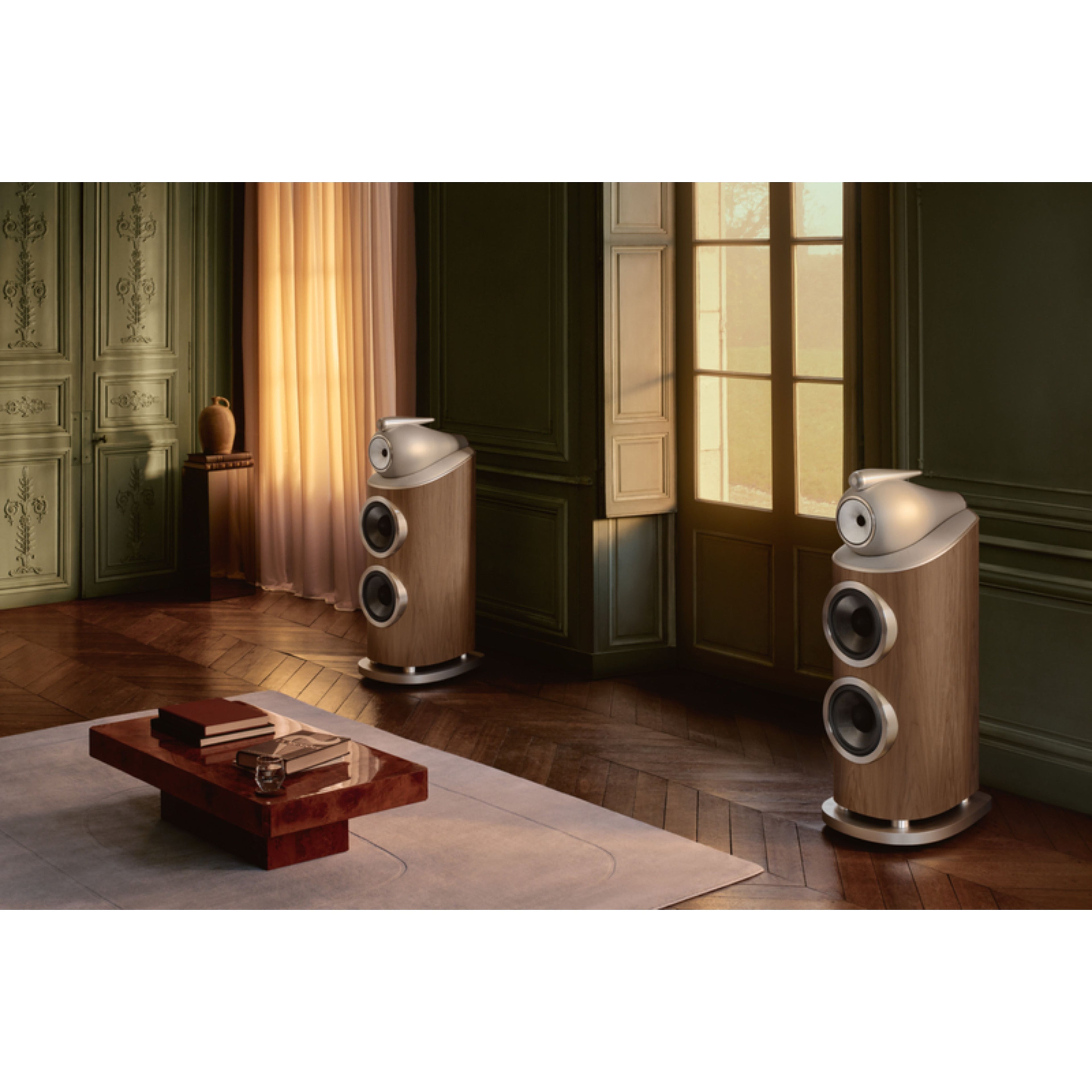 BOWERS AND WILKINS 801 D5