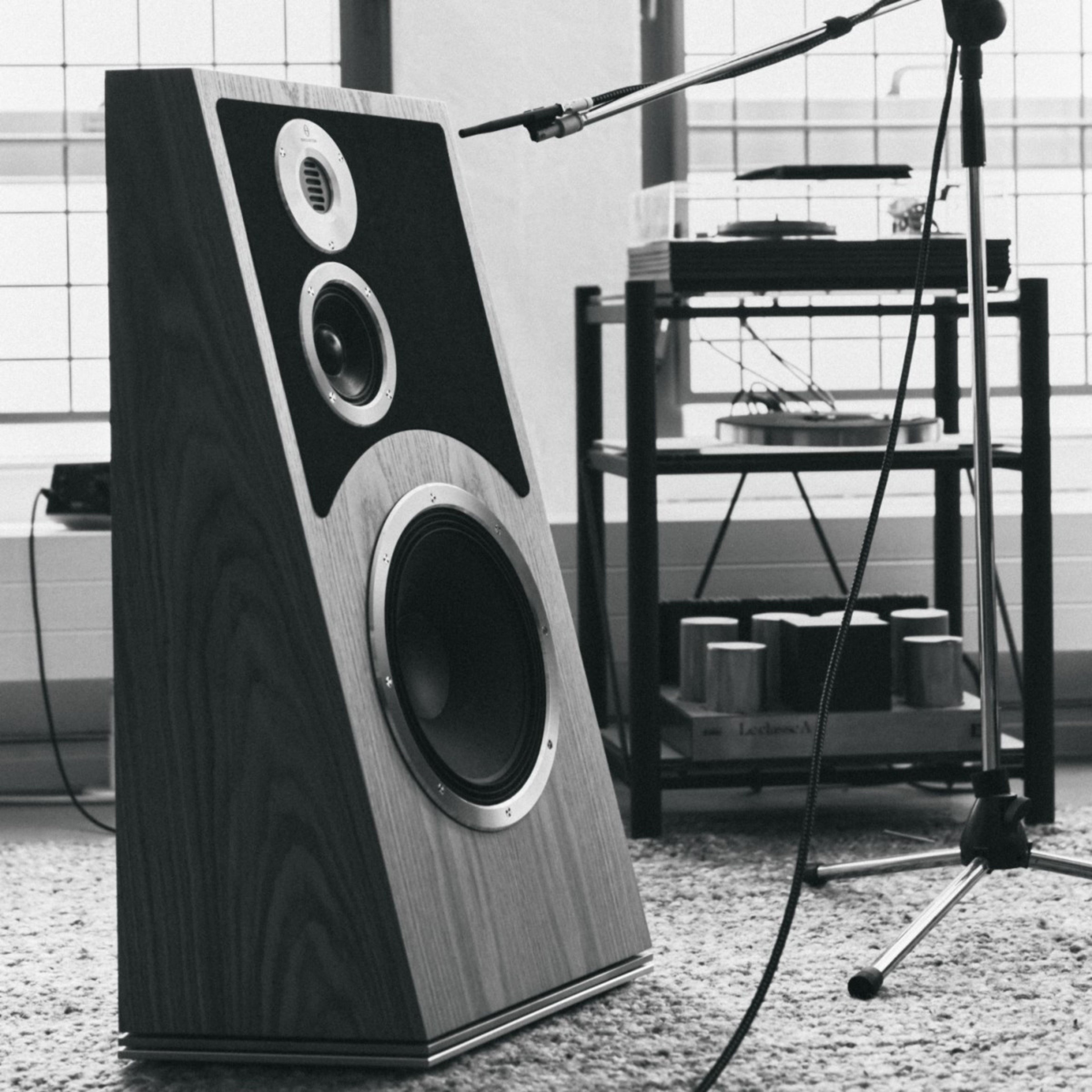 AUDIOVECTOR TRAPEZE