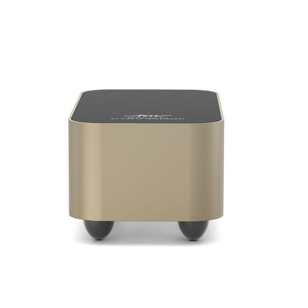FEZZ ARGENTUM X10