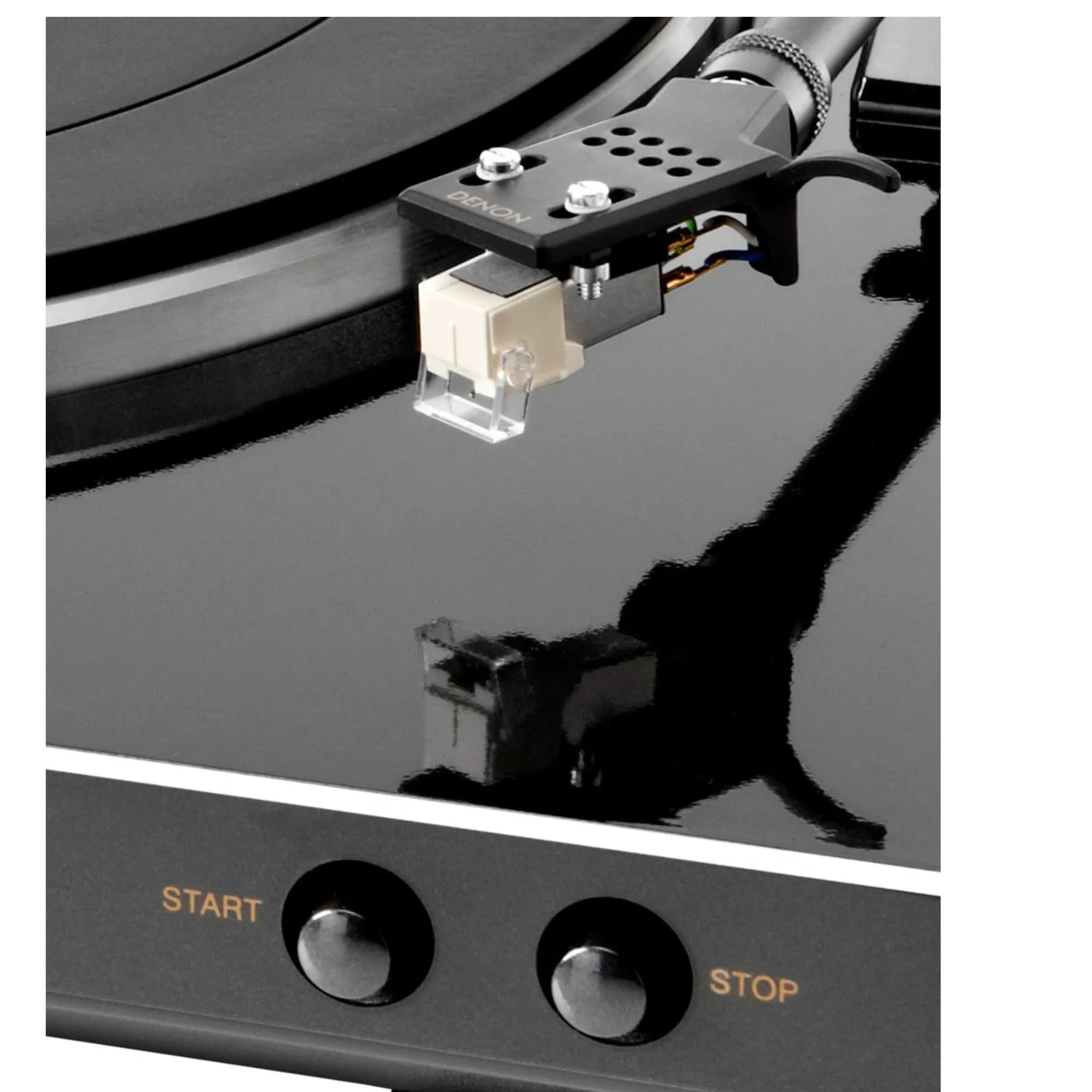 DENON DP300F