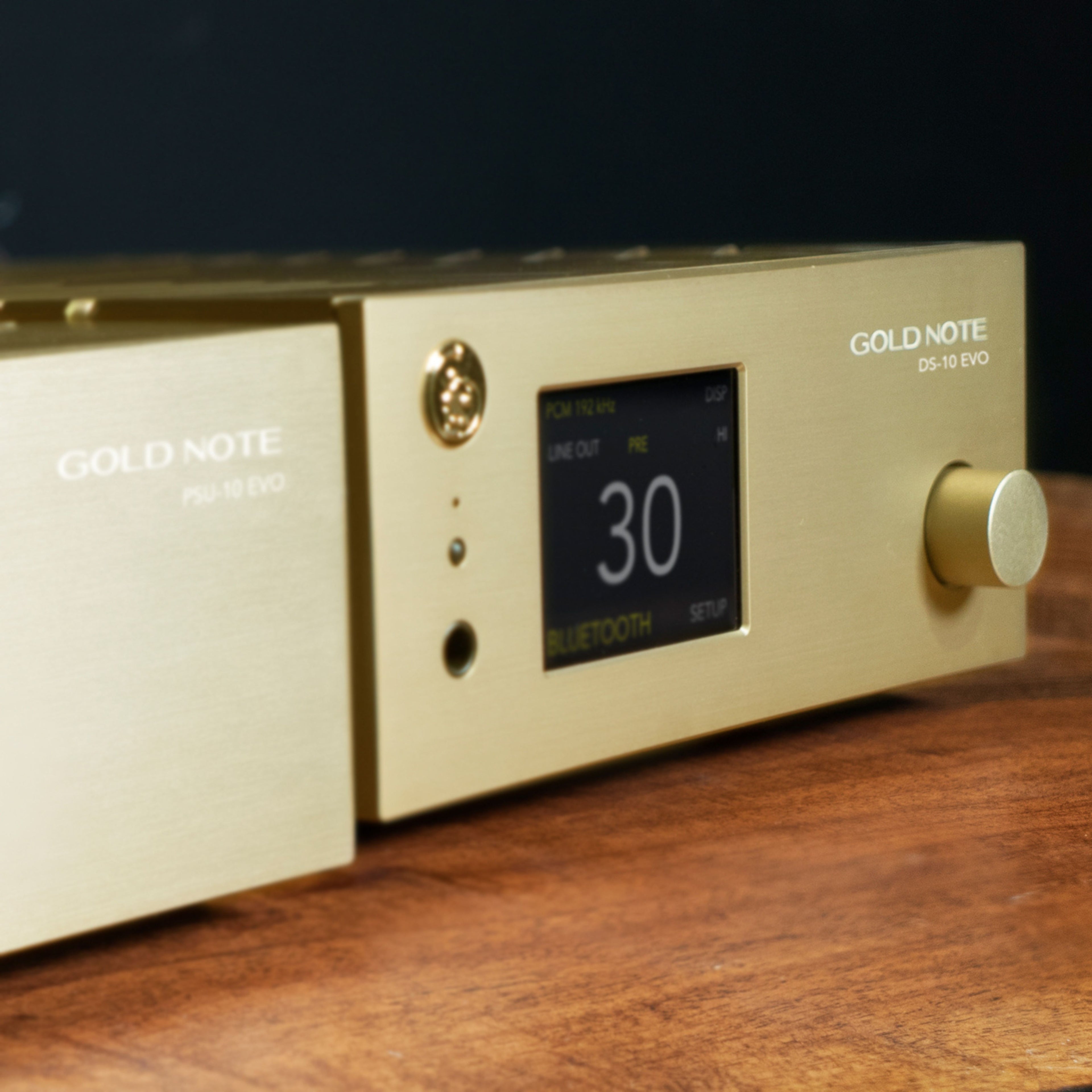 GOLD NOTE DS-10 EVO